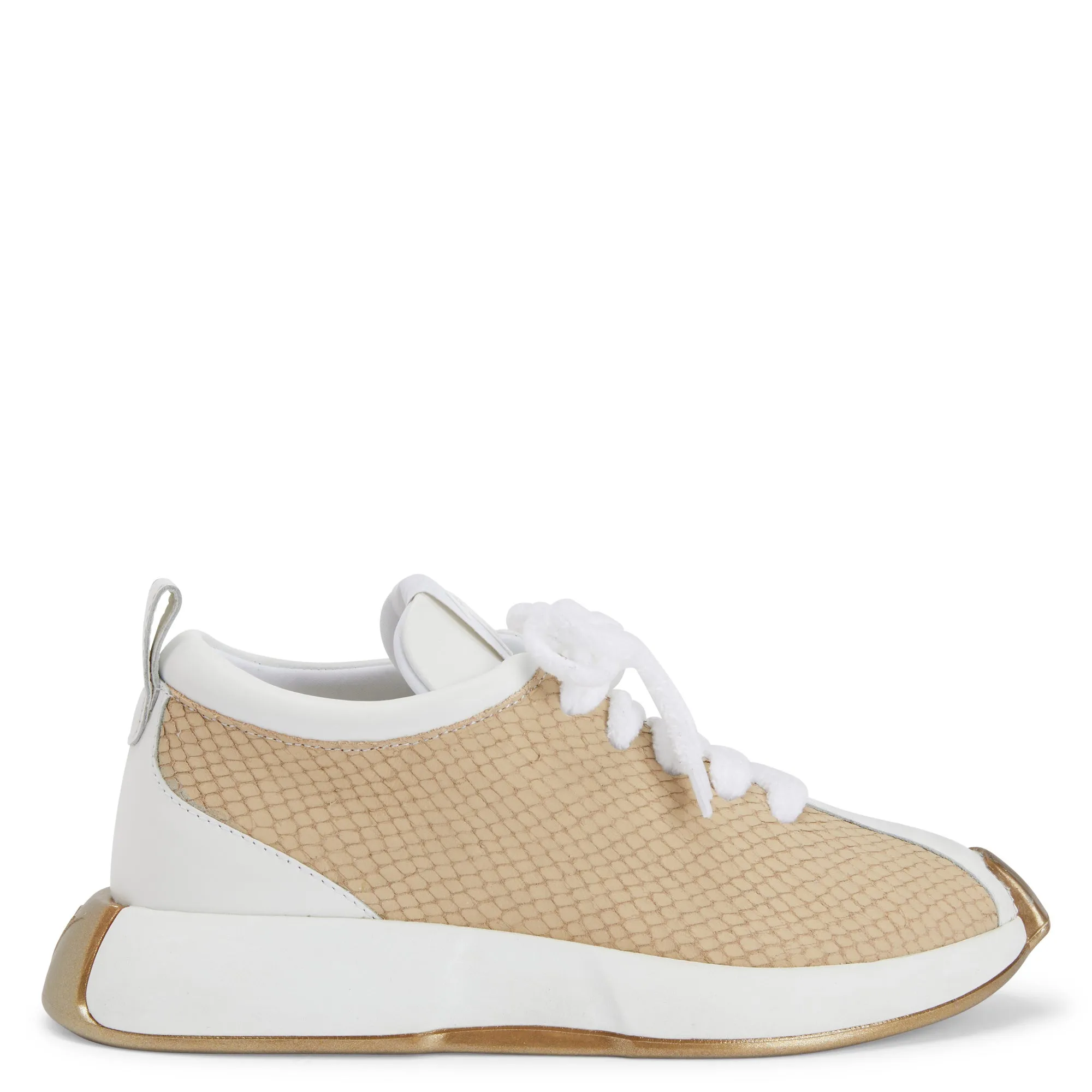Giuseppe Zanotti Giuseppe Zanotti Ferox