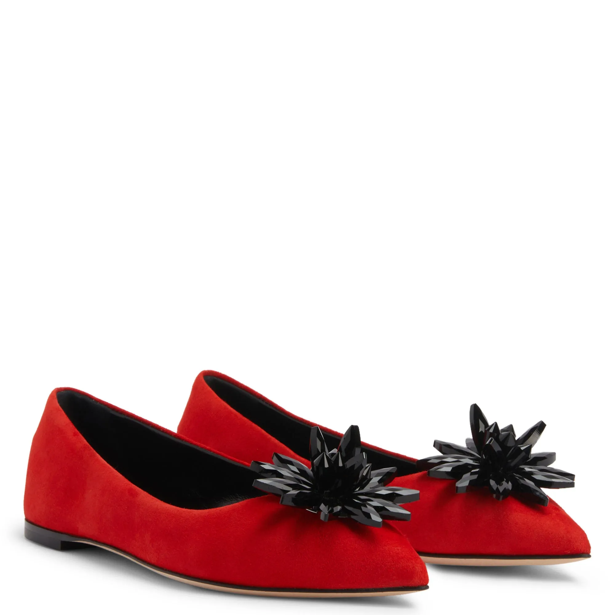 Giuseppe Zanotti Valliee