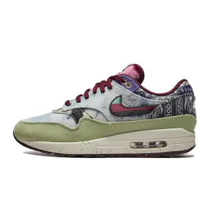 Nike Air Max 1 SP Concepts Mellow