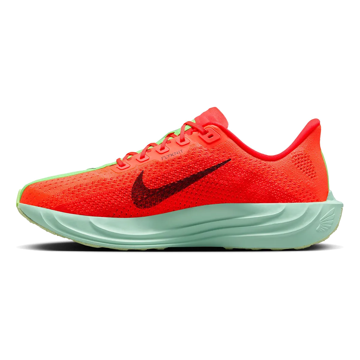 Nike Pegasus Plus
