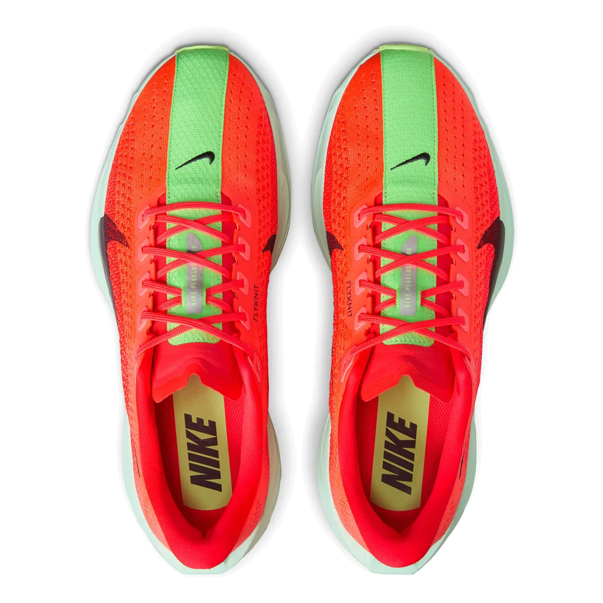 Nike Pegasus Plus