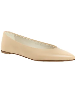 Prota Fiori Camelia Flat