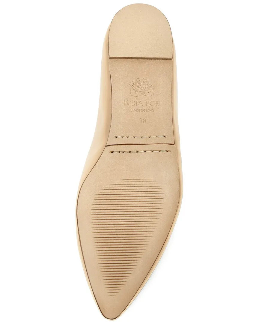 Prota Fiori Camelia Flat