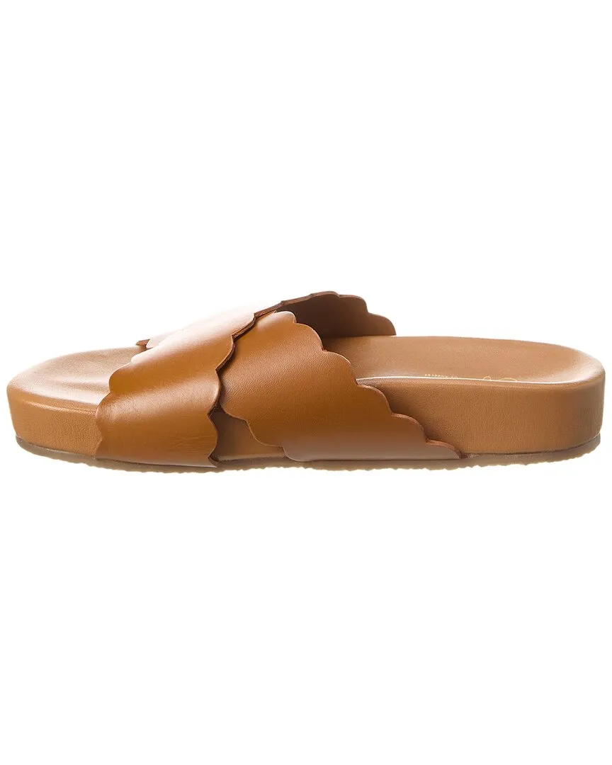 Seychelles Odie Leather Sandal